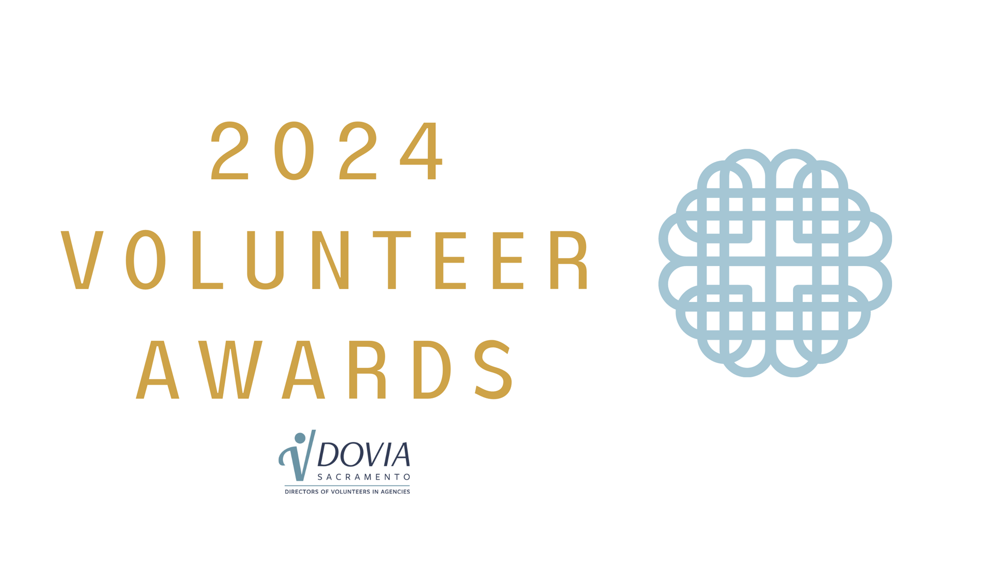 2024 Volunteer Awards logo from DOVIA